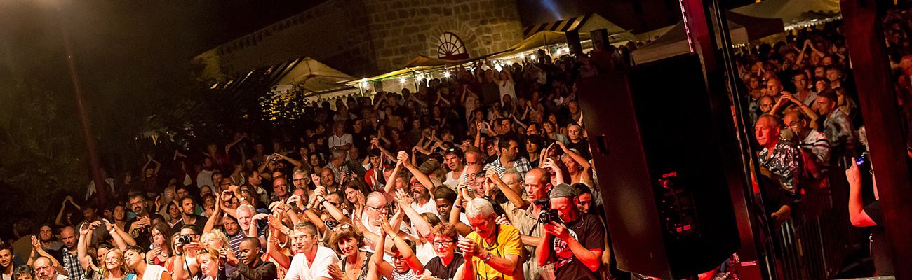 public du Buis Blues Festival